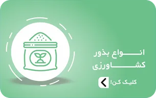 بذر
