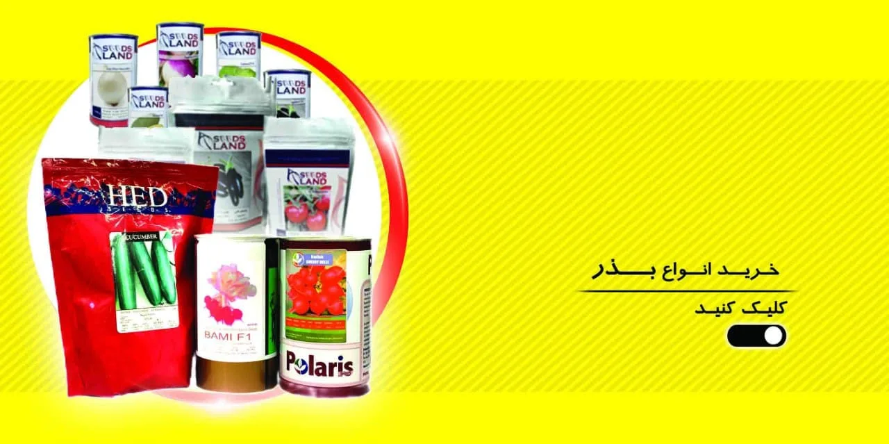 انواع بذر