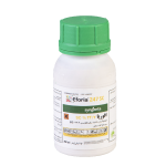 سم حشره کش افوریا (Eforia) سینجنتا