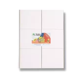 چسب موش کتابی (فروبن انگلستان) رهااندیش کاوان